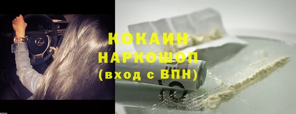 стаф Кулебаки